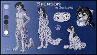 Shenson Ref by jesslyra - male, snow, leopard