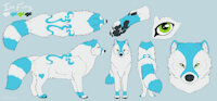 Icefumy (Feral) Reference sheet - Read Description, plz! by Icefumy - female, male, herm, feral, genderless, arctic fox, on all fours