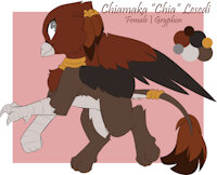 Chiamaka "Chia" Lesedi Reference by EnderFloofs - cute, female, reference sheet, jewelry, gryphon, tribal, reference, gryphoness