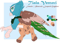 Tiala Vercovi Reference by EnderFloofs - female, hybrid, reference sheet, gryphon, leopard, peacock, reference, gryphoness, hybrid species