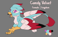 Candy Velvet Reference by EnderFloofs - female, reference sheet, gryphon, reference, gryphoness