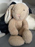 Goldy the Bunny by unknown809 - bunny, rabbit, incontinence, bunny boy, bunny rabbit