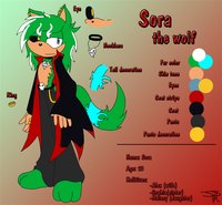 Sora Refference by MemoryRoad - wolf, sora, refference, male solo