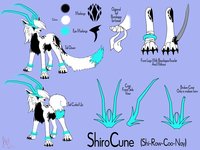 ShiroCune Updraged Reference Sheet by AoiFoxtrot - male, reference sheet, ref sheet, hollow, shirocune