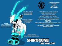 ShiroCune Basic Mobian Ref Sheet by AoiFoxtrot - male, reference sheet, ref sheet, mobian, hollow, shirocune