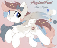 Hazelnut Frost Reference by EnderFloofs - female, scarf, reference sheet, mare, pony, donut, reference, mlp, pegasus