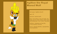 Agillion Ref Sheet by AnthonitecusWolff - maned wolf, ref sheet, sfw, general audiences, sfw furry art, adventures of animator igor and his friends, male maned wolf, agillion the royal maned wolf