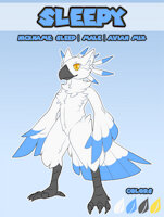 Original Ref by slumberingbird - male, bird, avian, sheet, ref, mixed