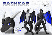 ref686/ Reference: Rashkar (V1 SFW) by darkgoose - dragon, male, commission, sheet, ref, darkgoose, reference, scalies, sfw, rs