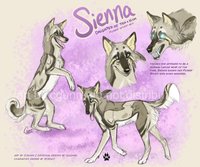 Commission - Sienna Reference by LostWolfSpirit - dog, forest, female, reference sheet, canine, feral, model, spirit, character, sheet, canid, reference, quad, quadruped, arachnid, forest spirit, furry paws, sienna, lostwolfspirit, minnowfish, stroup