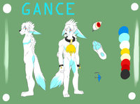 Gance Reference by Gance - fox, male, reference sheet, arctic/fennec
