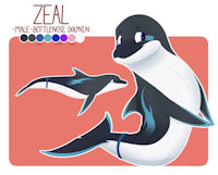 Zeal Refsheet [Comm. DolphinProject] by LenniYosh - male, reference sheet, dolphin, oc, cetacean, bottlenose, bottlenose dolphin, zeal