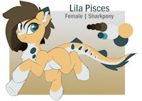 Lila Pisces Reference by EnderFloofs - female, hybrid, reference sheet, shark, mare, pony, fins, my little pony, hybrid species, female/solo, shark pony