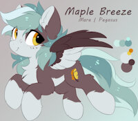 Maple Breeze by EnderFloofs - female, reference sheet, mare, pony, my little pony, pegasus, female/solo, pony oc