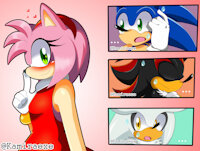 Amy Lovers by kamiraexe - sonic the hedgehog, amy rose, shadow the hedgehog, silver the hedgehog