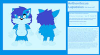 Anthonitecus Lupussius A.K.A Animator Igor ref sheet (june 2022) by AnthonitecusWolff - wolf, anthro, furry, ref sheet, animal, sfw, general audiences, male wolf, blue wolf, sfw furry, animator igor, adventures of animator igor and his friends, animator igor the wolf, anthonitecus lupussius
