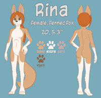 Rina reference by Initium - fox, female, fennec, reference