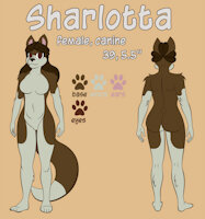 Sharlotta reference by Initium - dog, female, canine, reference