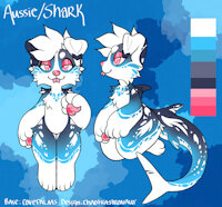 Aubrey Ref by konnorshark - cub, female, reference sheet, shark, ref sheet, reference, hybrid species, female solo, aussie shepherd, aussie shark