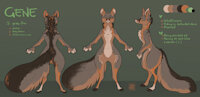 Gene / Cinna ref sheet by cinnamomo - reference sheet, anthro, furry, fursona, reference, sona, model sheet, gray fox, grey fox, furry art