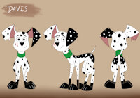 Brand New OC: Davis Dalmatian by DarkElement - dog, male, character sheet, clean, scar, oc, dalmatian, torn ear, 101 dalmatian street