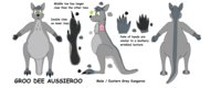 Natural Grey Groo ref sheet --- by clemaxgra by GrooDeeAussieroo - male, reference sheet, kangaroo, ref sheet, reference, eastern grey kangaroo