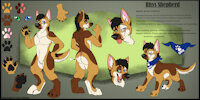 Rhys 2.0 Ref Sheet by RhysTheFur - male, canine, anthro, feral, german shepherd