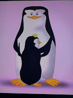 Connor Penguin OC by BusterBunny8 - male, penguin, oc, penguins of madagascar, male oc, penguin oc