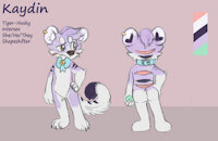 Kaydin Refsheet 2022 by ShockinglyLazy - husky, tiger, intersex, kidcore