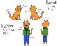 Nic's Reference Sheet by JustBored3 - cat, male, glasses, jacket, jeans, anthro, feral, sheet, ref, reference, nerd, refsheet, whiskers, nic