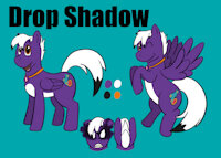 [Commission] Drop Shadow Reff Sheet by Lionclaw - male, reference sheet, pony, wings, wink, my little pony, pegasus, pegasus pony, ponysona, reff sheet, pony oc