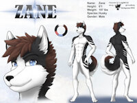 Ref695/ Reference: Zane (V1 SFW) by darkgoose - dog, husky, wolf, male, commission, sheet, ref, canid, darkgoose, reference, sfw, rs