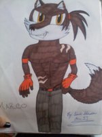 Marco the Wolf by TrinityHedgehog - wolf, male