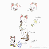 Darla by Yordraw - sketch, cute, female, reference sheet, adorable, traditional, reference, opossum, traditional media, traditional art, referencesheet, traditional artwork, tradicional, reference-sheet, cute art, tradicional art, artwork (traditional), traditionalart, traditionalartwork, traditionalmedia, tradicionalart, yordraw, yordraw ocs