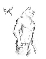 Requiem by RequiemBeatz - dog, male, canine, muscle, oc, canid, sketches, original character, samoyed