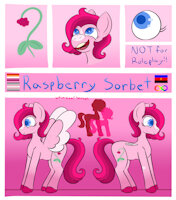 Raspberry Sorbet Reference Sheet by whimsicalseraph - female, reference sheet, lesbian, pony, mlp, pegasus, referencesheet, pegasus pony, autistic, demigirl