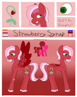 Strawberry Sorbet Reference Sheet by whimsicalseraph - female, reference sheet, lesbian, pony, reference, my little pony, mlp, pegasus, referencesheet, pegasus pony, pony oc, autistic