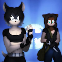 The Dark Avenger And The Techy Tenrec by Silverfantastic - male, bat, sexy, style, action, posing, batman, mobian, promo, sonic fan characters, tenrec, inspiration, sonic au, bat signal, doris the bat, grant the tenrec