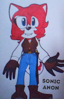 Rose The Husky Bio by SonicAnon - female, husky, sonic the hedgehog, husky dog, sonic oc