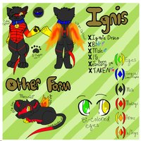 Ignis Refrence Sheet~ by AmberTheHyena - dragon, wolf, male, mouse, sheet, refrence, dragowolf