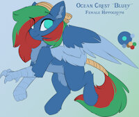 Ocean Crest "Bluey" Reference by EnderFloofs - female, hybrid, reference sheet, talons, wings, hooves, solo, reference, mlp, bandana, hippogryph, hybrid species, hippogriff, color palette, tail wrap, solo female