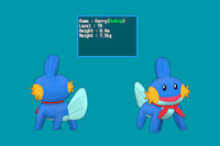 Kerry's Reference Sheet by Weatherthunder809 - pokemon, mudkip, pokemon mystery dungeon, pmd