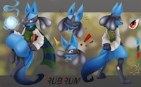 Rubrum, the intrepid scholar by TheNomadicDragon - lucario, male, glasses, scarf, pokemon, gear