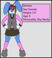 OC Siamara-Ref by AngelPureLust - cub, bunny, female, rabbit, glasses, chubby, nerdy