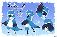 [C] Gorda Ref Sheet by InvalidNickname - male, reference sheet, bird, avian, scrub jay