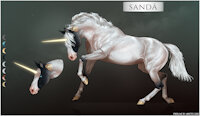 Sanda Ref by Kuruk - female, reference sheet, equine, feral, unicorn, mane, solo, sanda (character)