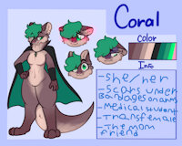 Coral Ref Sheet by BudderBlock - female, reference sheet, otter, transgender, refsheet