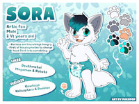 Sora's reference sheet! by Sorafox - babyfur, diaper, cute, cub, male, teal, reference sheet, toddler, arctic, arctic fox, dyed hair, dyed fur