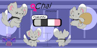 Chai Reference (by DragoShift) by Disable - pokemon, character sheet, scar, pokémon, thief, character reference, chai, minccino