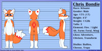 Chris Kitorin Bondie Ref (2018) by tails230 - fox, kitsune, male, chris, tails230, bondie, kitorin, chrisbondie, chriskit